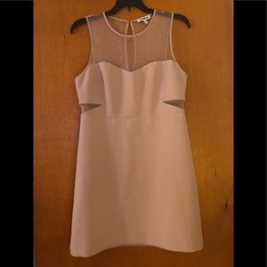 Blush Dress with Mesh Cutouts